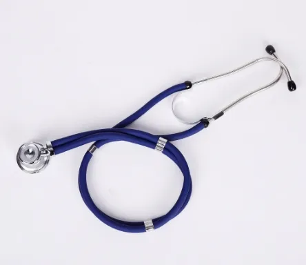 Multi Functional Stethoscope for Home Use in Pregnant Women with Fetal Movement and Fetal Heart Positioning