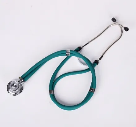 Multi Functional Stethoscope for Home Use in Pregnant Women with Fetal Movement and Fetal Heart Positioning